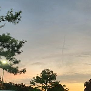 Meet your Posher, Ava